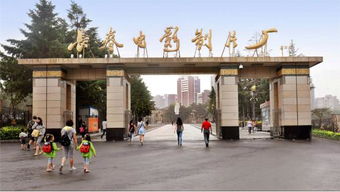 都市环线休闲游 品味城市脉动，享受慢生活