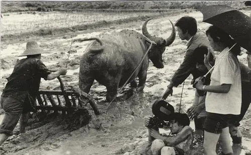 青春祭 没有什么能够阻挡，你对美丽的向往